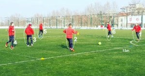 Nemanja Milinčić: FK Crvena zvezda